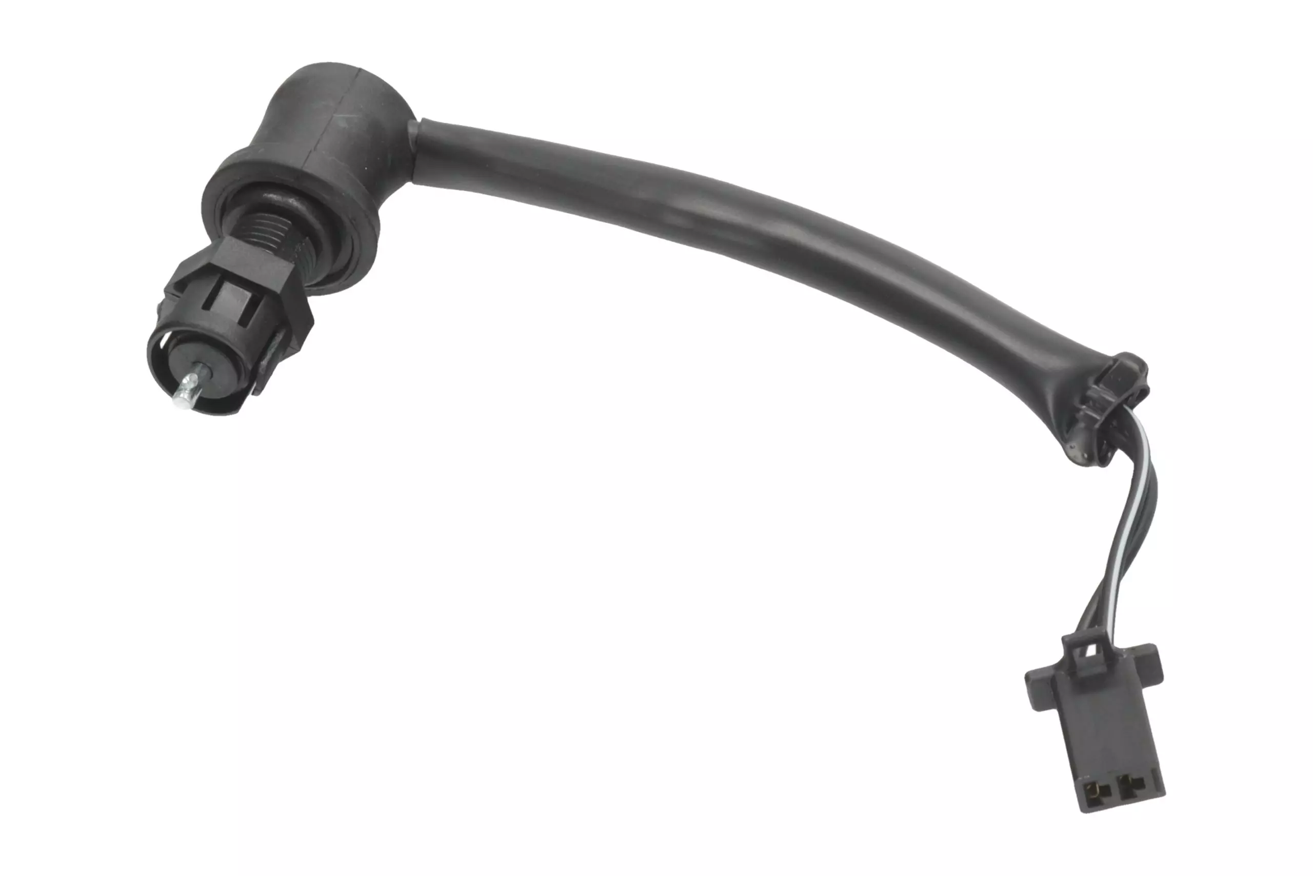 gmoto-1246160