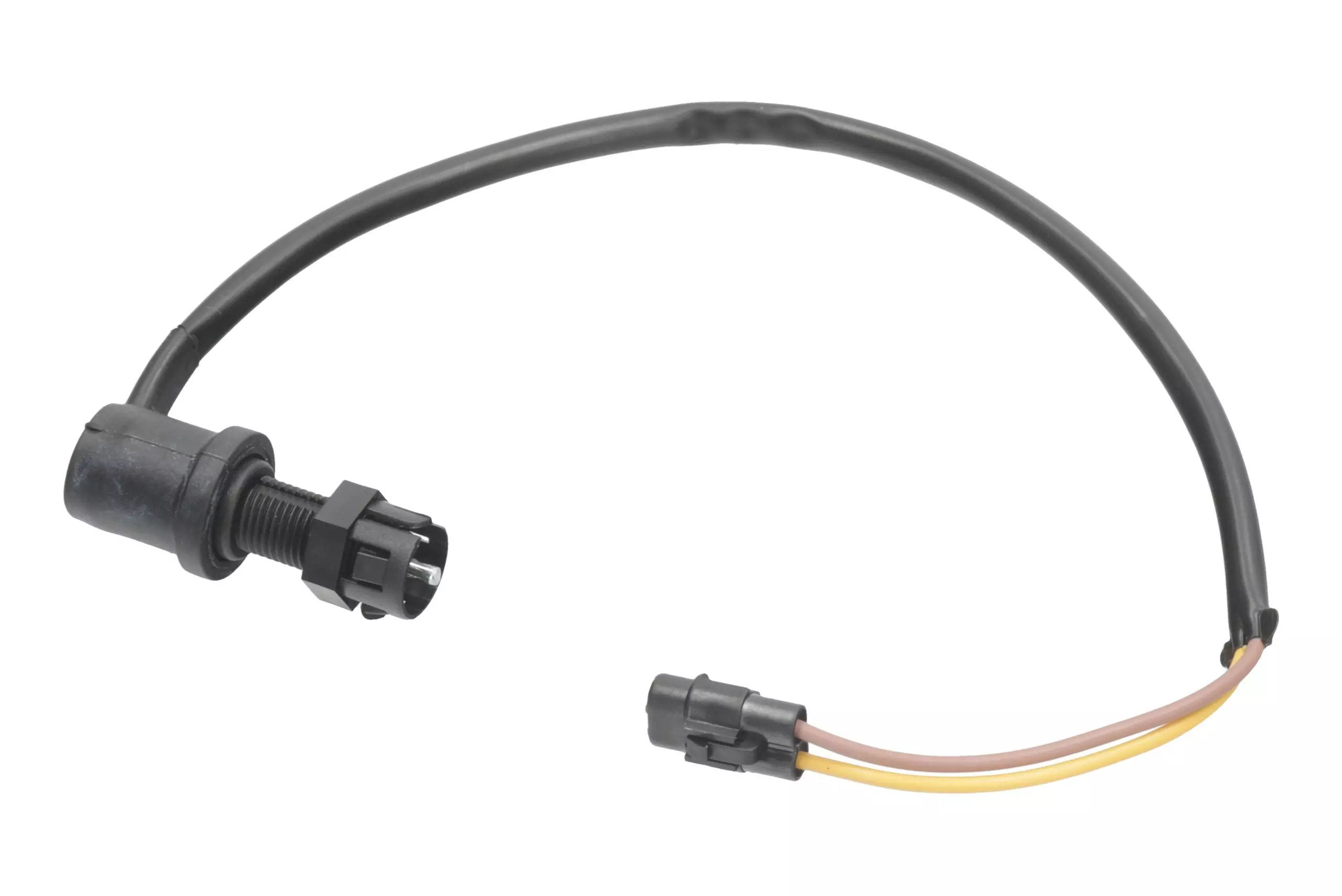 gmoto-1246179