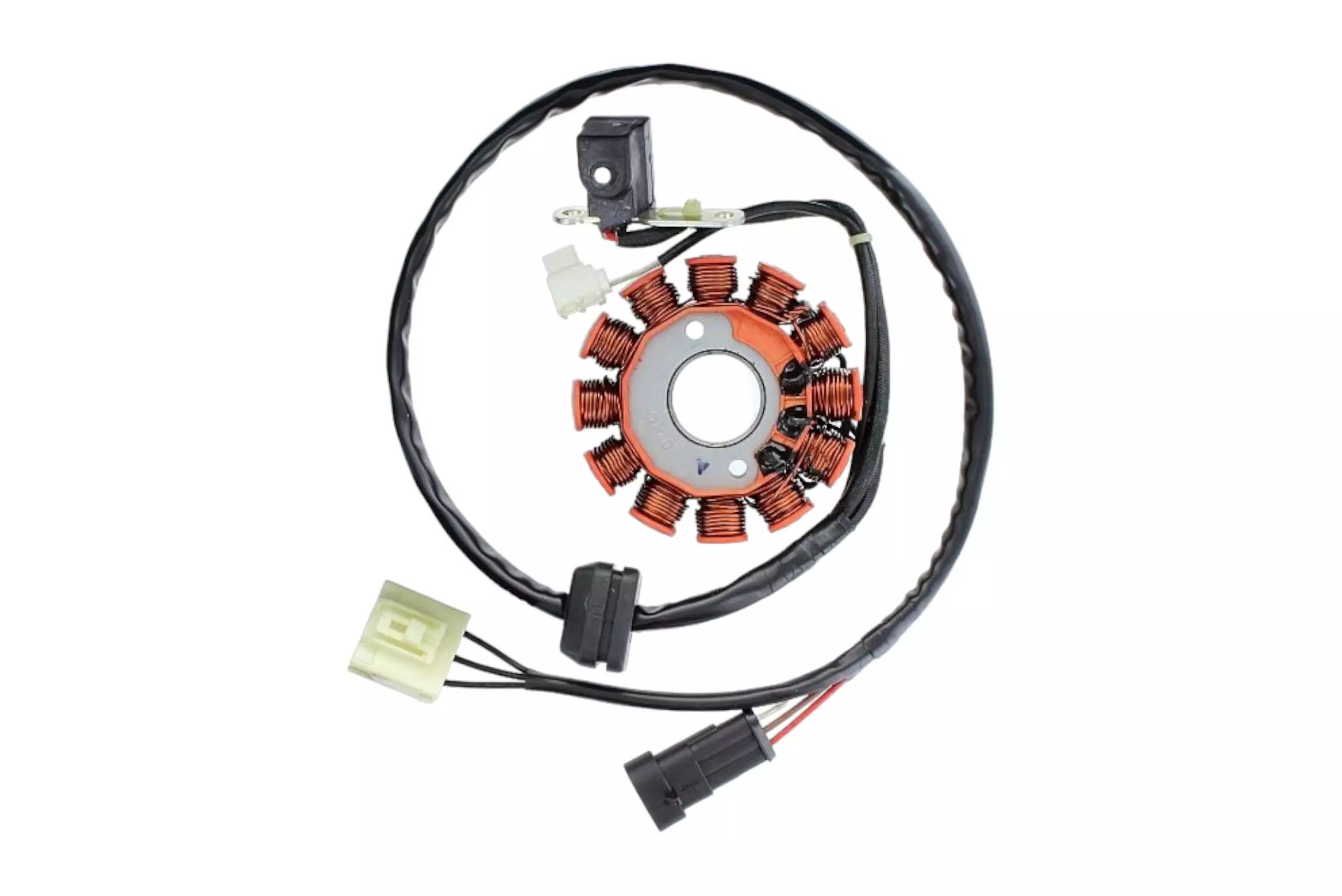 gmoto-1328693