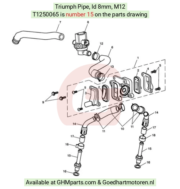 goedhartmotoren3-20229