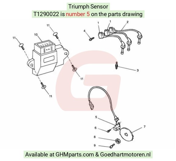 goedhartmotoren3-23554