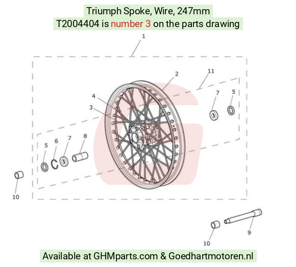 goedhartmotoren3-25911