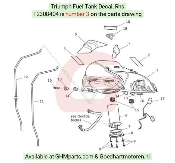 goedhartmotoren3-74764