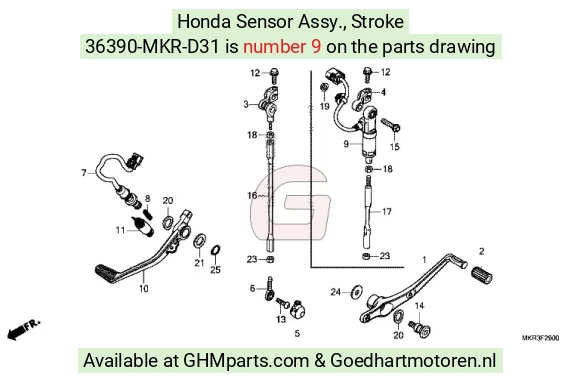 goedhartmotoren8-1506132