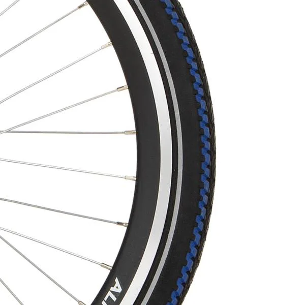 hollandbikeshop1-1305079