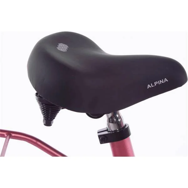 hollandbikeshop2-1278504