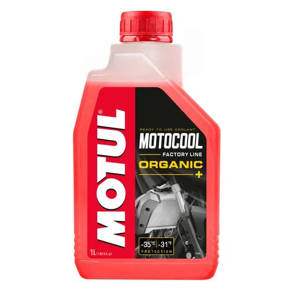 media.motoblouz2-258041