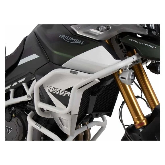 media.motoblouz5-123869